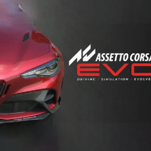 Asseto Corsa Evo Steam Offline Account